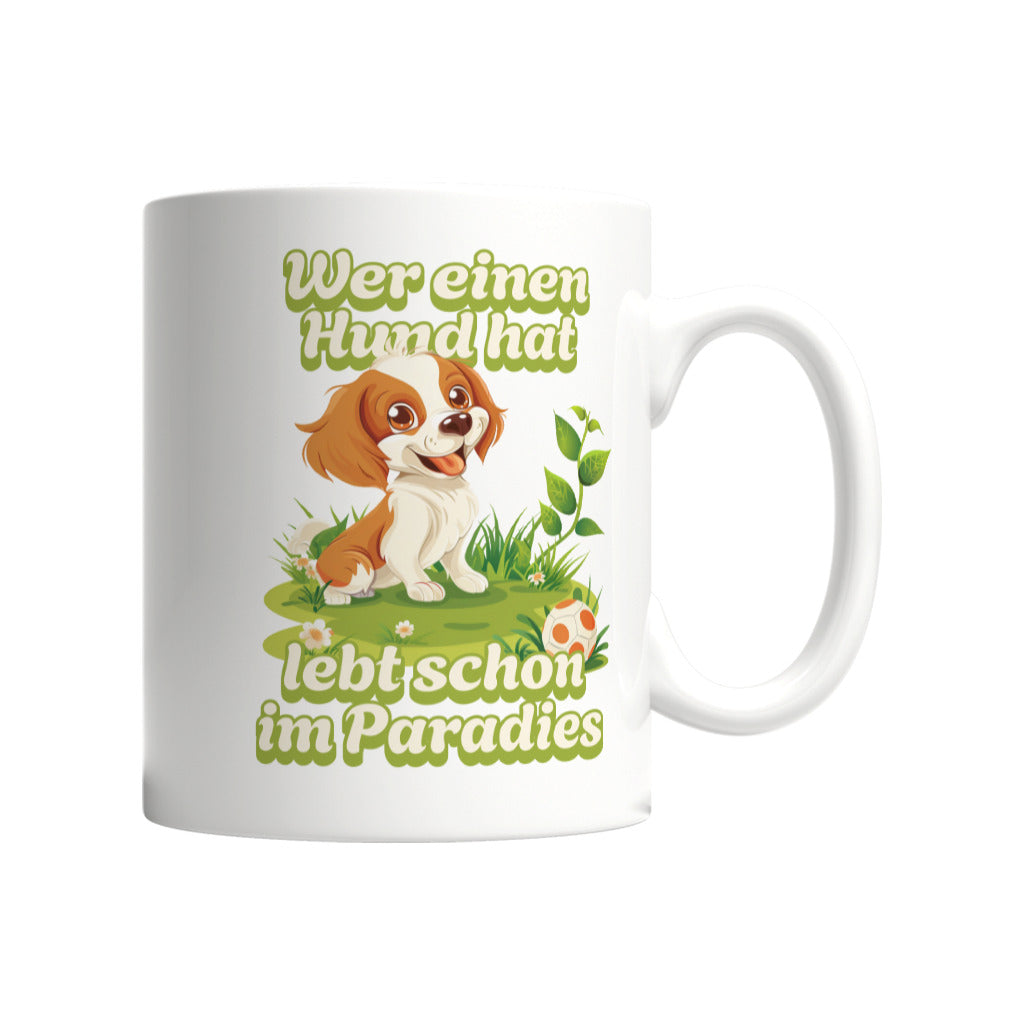 a903d258-a6a5-4d2d-a8d8-1f67703c5499