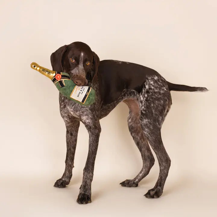 Champagne Plüschspielzeug für Hunde – mit Quietscher