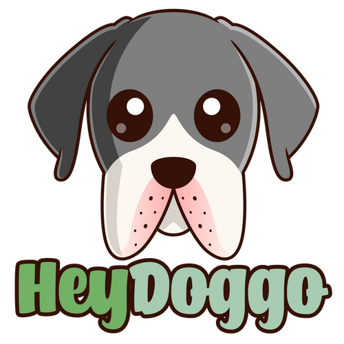 HeyDoggo