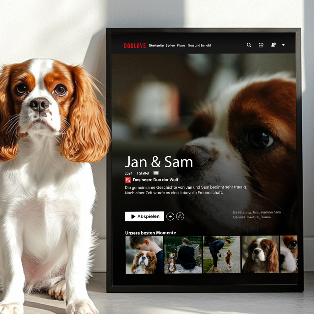 personalisiertes Poster - Netflix Titelbild